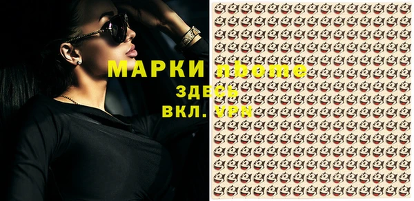 гашик Аркадак