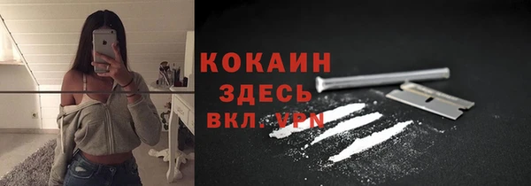 гашик Аркадак