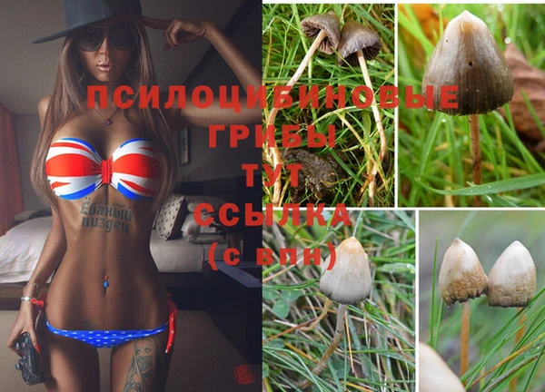 дмт Армянск