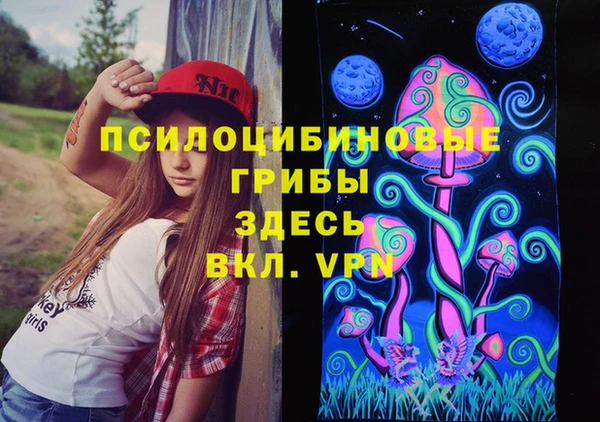 дмт Армянск