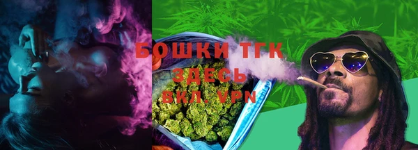 дурь Арсеньев