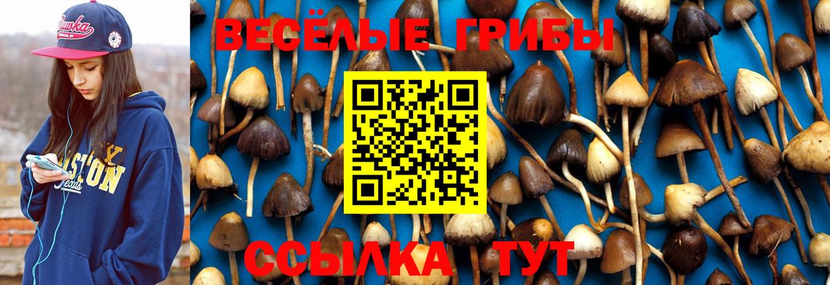 Краснотурьинск  Псилоцибиновые грибы Psilocybine cubensis  Вход с VPN 
